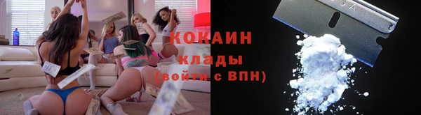 спиды Тайга