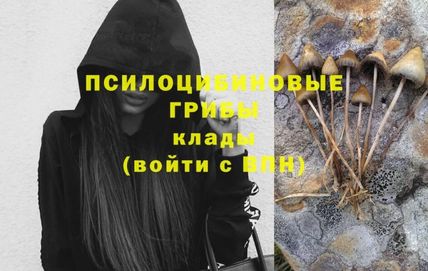 синтетический гашиш Тихвин