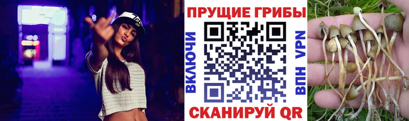 Галлюциногенные грибы MAGIC MUSHROOMS  цена   Нижний Новгород 